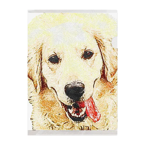 @RIN Clear File Folder