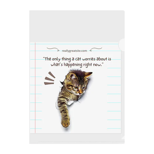 飛び出す猫ちゃん‼️色々〜 Clear File Folder