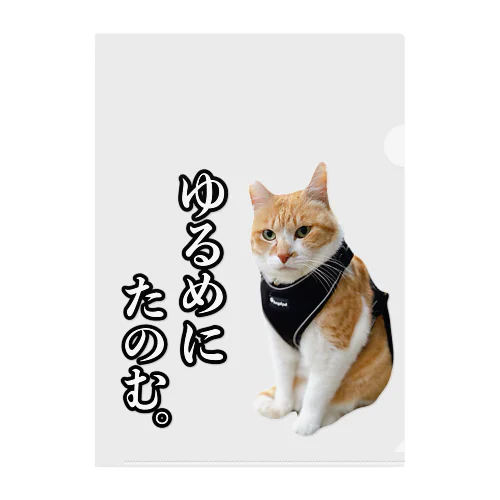 元野良猫チャチャ Clear File Folder