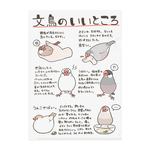 文鳥のいいところ Clear File Folder