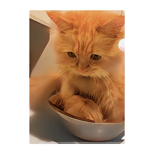 らぶきゃっと Clear File Folder