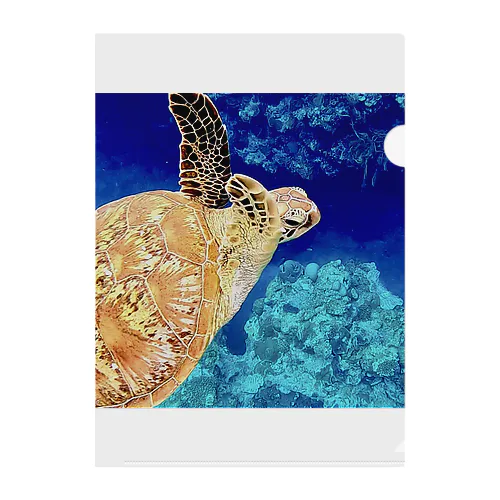 ウミガメ１　SEATURTLE・HONU Clear File Folder