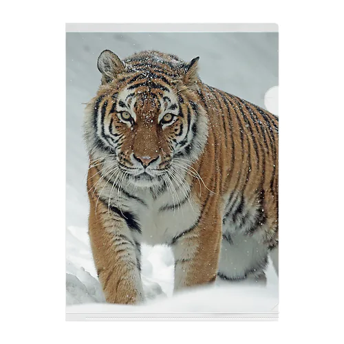 虎シリーズ Clear File Folder