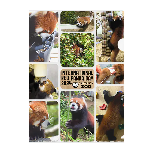 大牟田市動物園 国際レッサーパンダデー2024　スペシャルデザイングッズ  #03 Clear File Folder