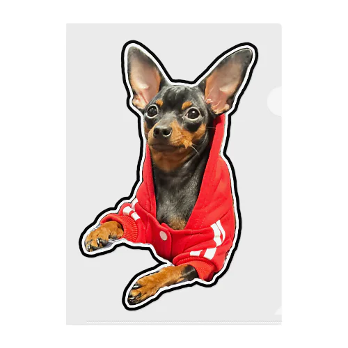 あんずちゃん Clear File Folder