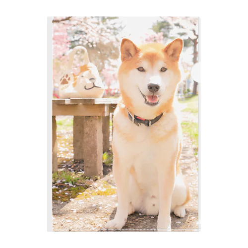 花吹雪ゴン❀クリアファイル Clear File Folder