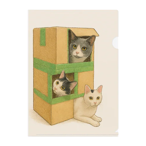 にゃんこ Clear File Folder