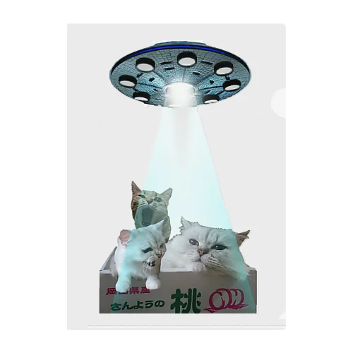 UFOに吸いとられるー Clear File Folder