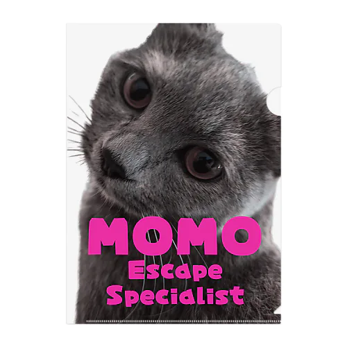 Studio-MoMoMo | Online shopping for original items ∞ SUZURI