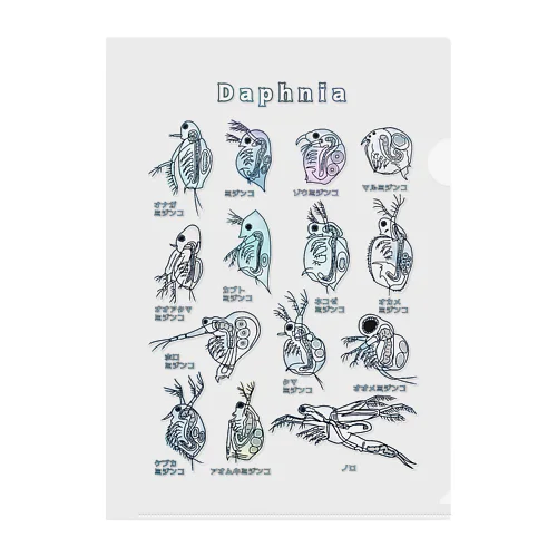 ミジンコ図鑑 Clear File Folder