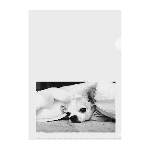 モノクロチワワ（アンニュイ1） Clear File Folder