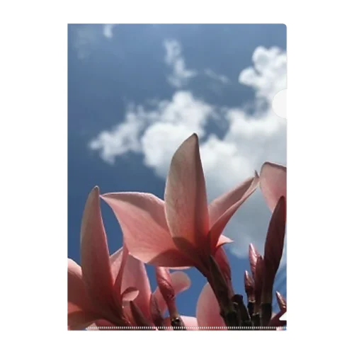 Blue sky Clear File Folder