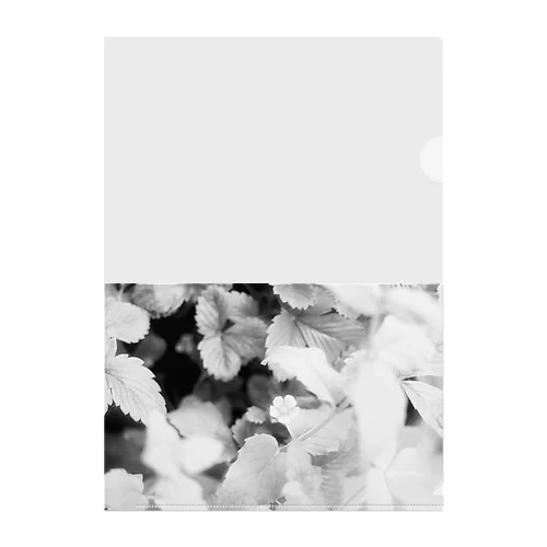 モノクロフラワー（野いちご） Clear File Folder