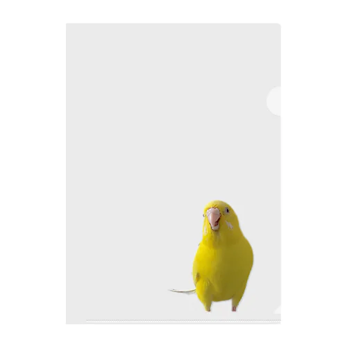 ぴっぴちゃん Clear File Folder