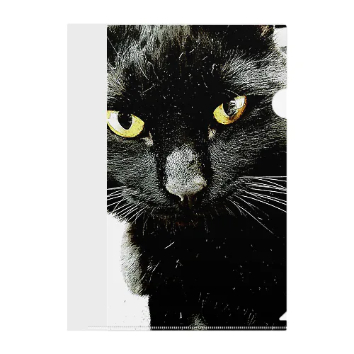 黒木さんちの黒猫Ｂ Clear File Folder