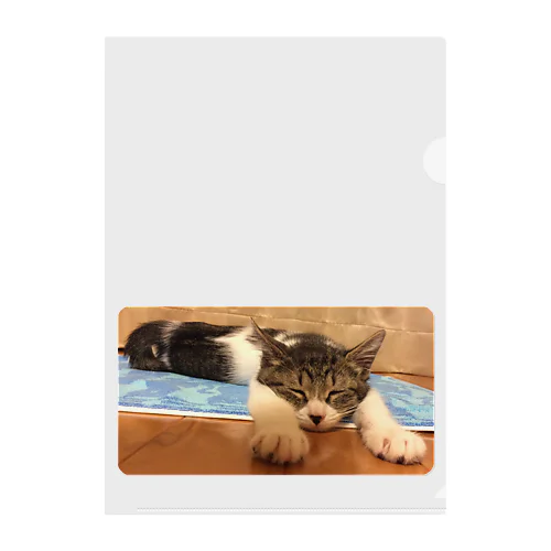 飛べるポーズで眠るパル～南の島のにゃんこ～ Clear File Folder