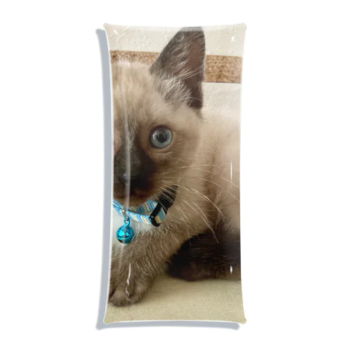 Moca  Clear Multipurpose Case