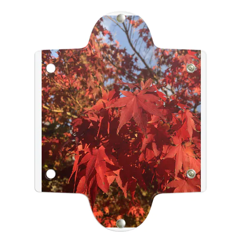 めっちゃ綺麗に撮影できた紅葉 Clear Multipurpose Case