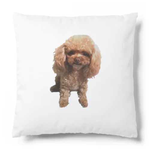 こもちクッション Cushion
