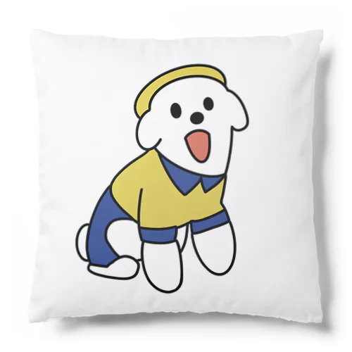 サニー2022 Cushion