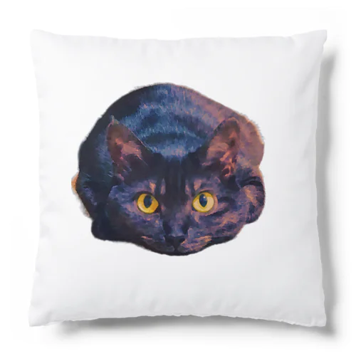 実家の猫 Cushion