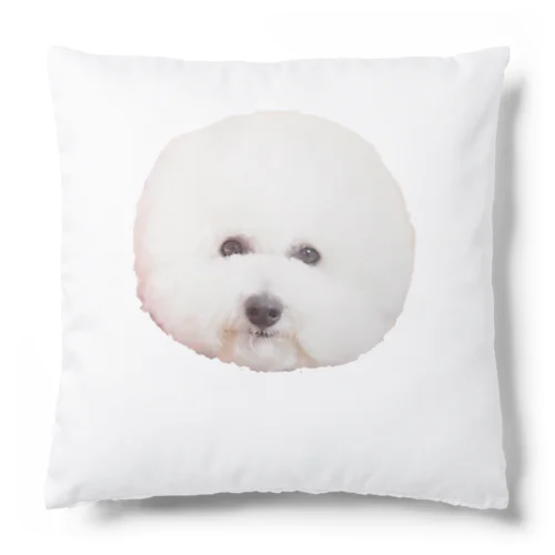 もこもこふらんしりーず3ver.2 Cushion