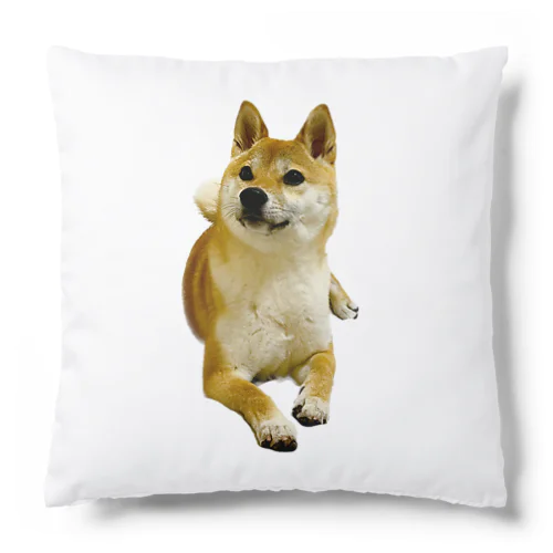 柴犬おかゆ Cushion