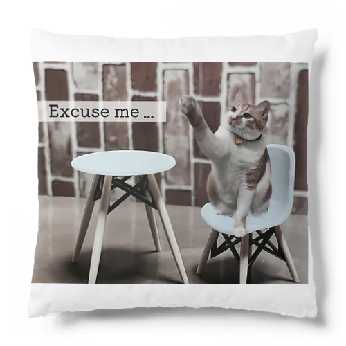 Excuse me … Cushion