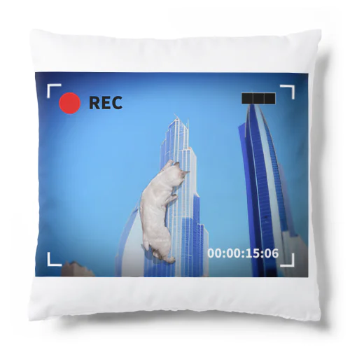 cat climbing a building Cushion