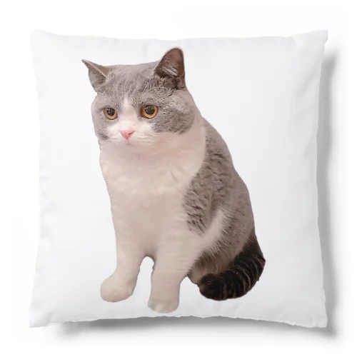 ブリティッシュのレオン Cushion