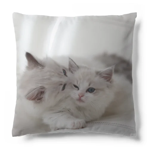 Ragdoll兄妹 Cushion