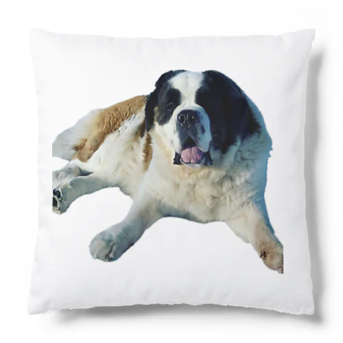 ステファニー Cushion