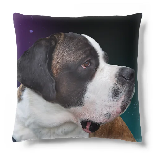 NANAクッション Cushion