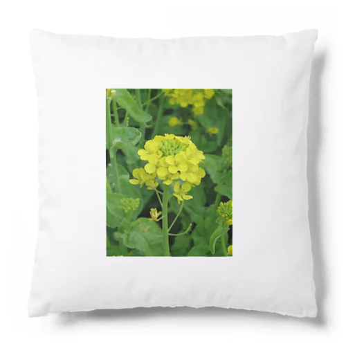 月の裏側からの贈り物 Cushion