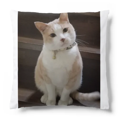 うちの子コーンちゃま Cushion
