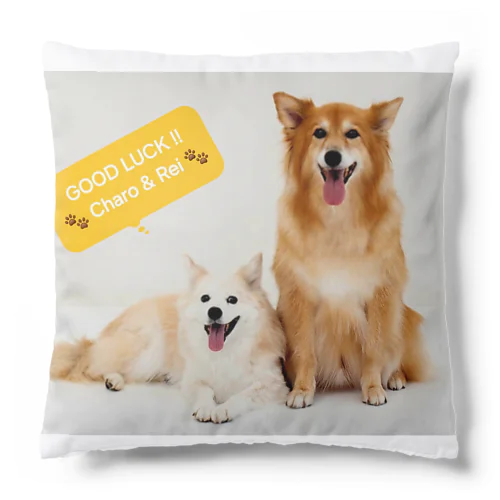 雑種の保護犬　かわいい兄貴と妹のGOOD LUCK!! Cushion