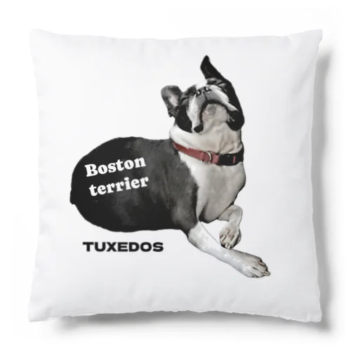 ボストンテリア TUXEDOS Cushion