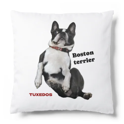 ボストンテリア TUXEDOS Cushion