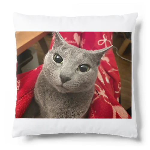 TikTokのアイコングッズ Cushion