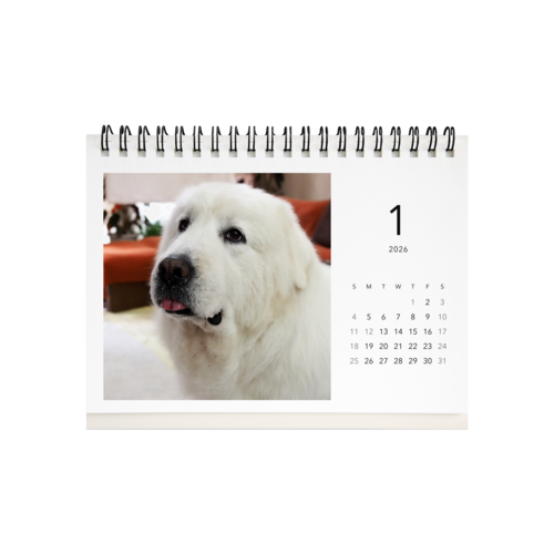 今日のルンルン　卓上カレンダー2026 卓上カレンダー