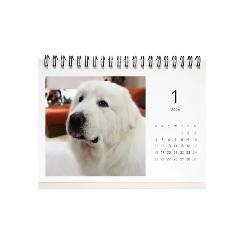 今日のルンルン　卓上カレンダー2026 Desk Calendar