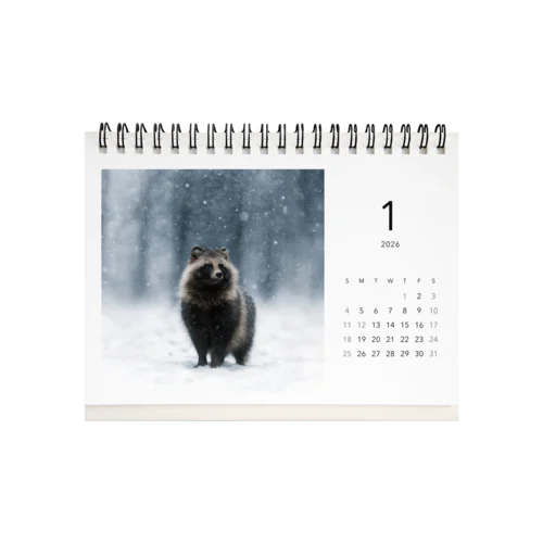 野生のタヌキが生きる一年。  ― 四季をめぐる、静かな12枚 ― Desk Calendar