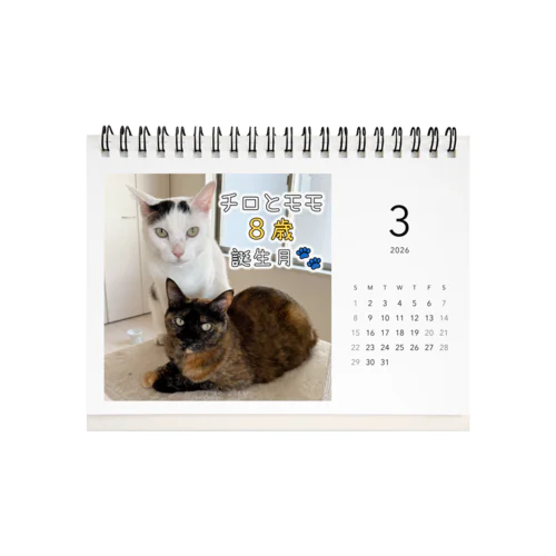 2026ねこほうカレンダー Desk Calendar