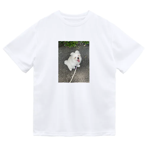 マフィロン　あくび Dry T-Shirt