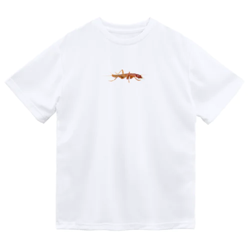 ガロアムシ Dry T-Shirt