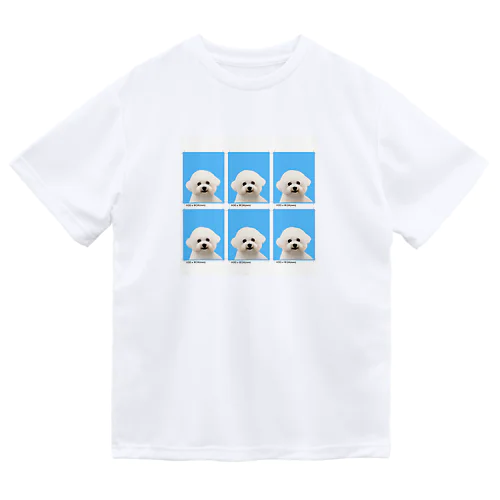 つくねちゃん証明写真 Dry T-Shirt