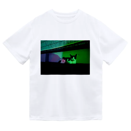 まどろむ野良猫（にゃーすけのこども） Dry T-Shirt