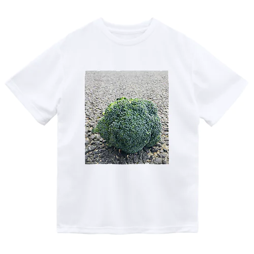 道に落ちていたブロッコリー2 Dry T-Shirt