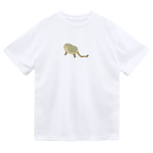 虎子石 Dry T-Shirt