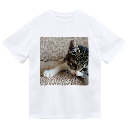 こねこのパル～南の島のにゃんこ～ Dry T-Shirt